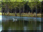 Valdosta0011.jpg (54576 bytes)