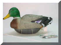 Duck06.jpg (31458 bytes)