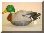 DuckMallardDrake.jpg (36069 bytes)