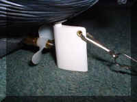 Duck14.jpg (43206 bytes)