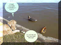 DuckRichard.jpg (85153 bytes)