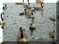 Jason1.jpg (69061 bytes)