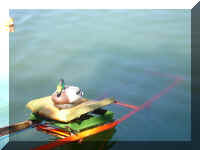 MarksDuckOnRamp.jpg (21976 bytes)