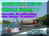 MockDuck1.jpg (168698 bytes)